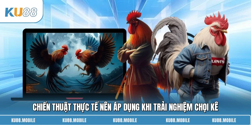 Chiến thuật thực tế nên áp dụng khi trải nghiệm chọi kê